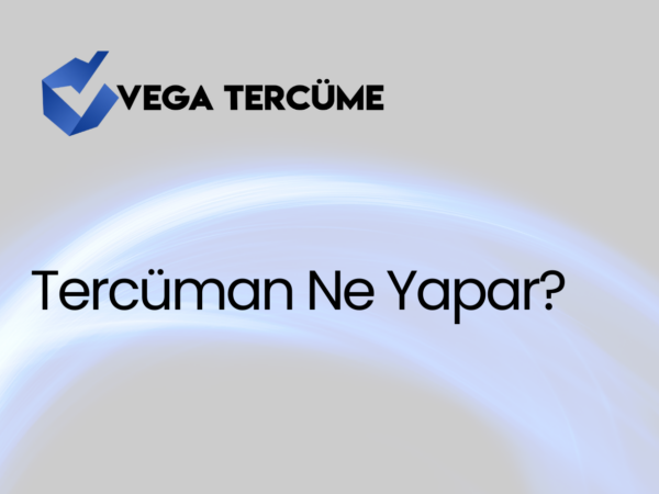 Tercüman Ne Yapar?