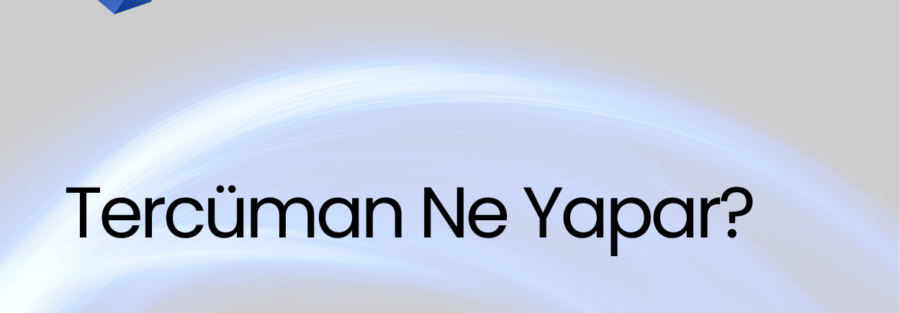 Tercüman Ne Yapar?