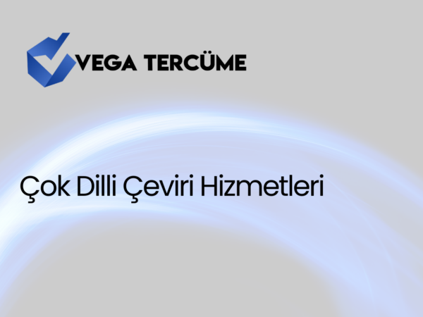Çok Dilli Çeviri Hizmetleri